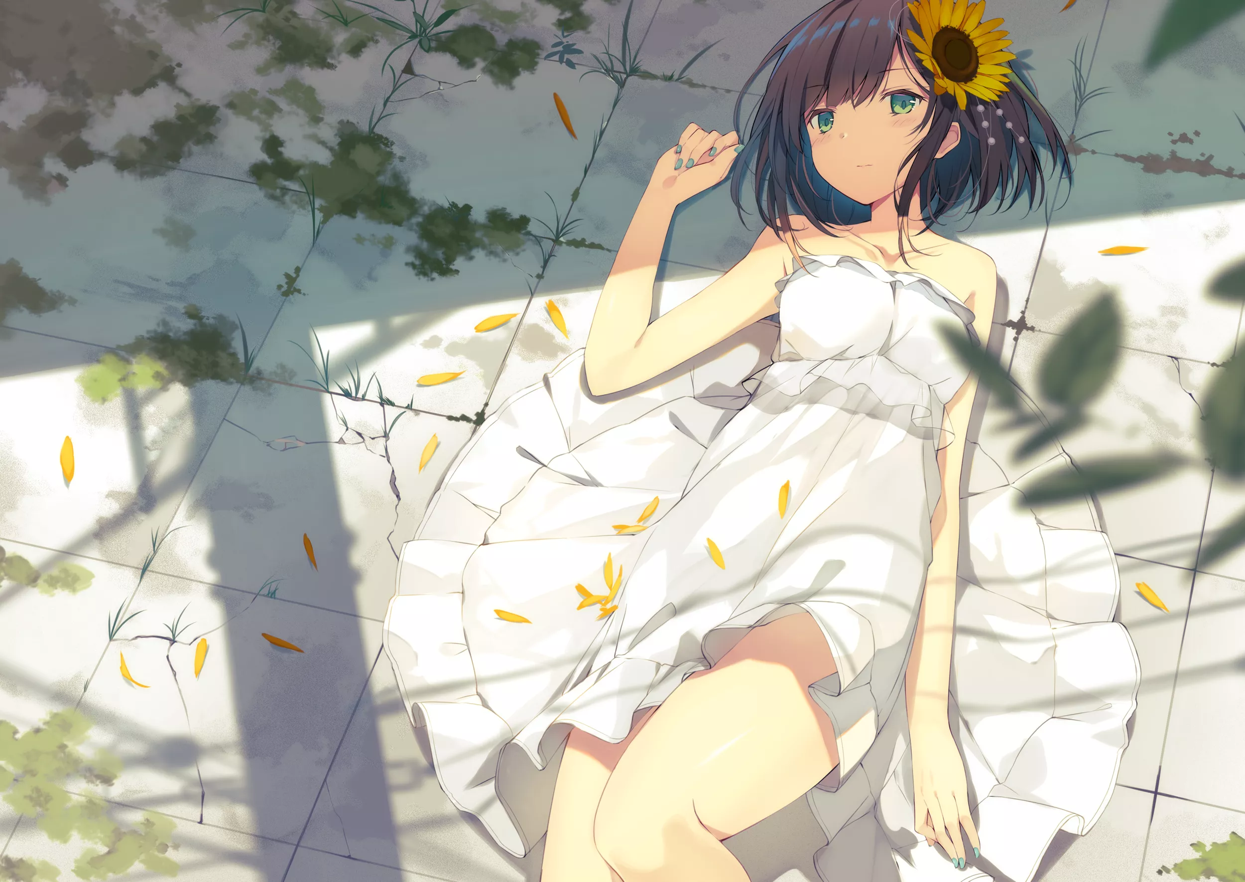 骤雨初歇晴·戏水采莲蓬